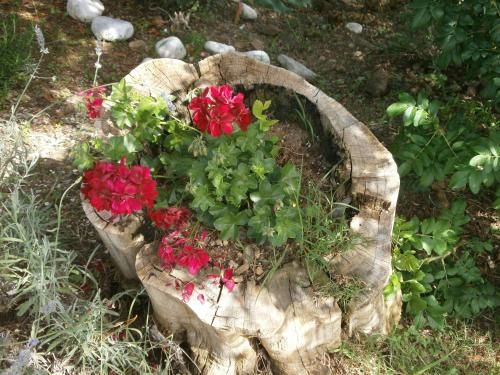 Outdoor Pictures 16