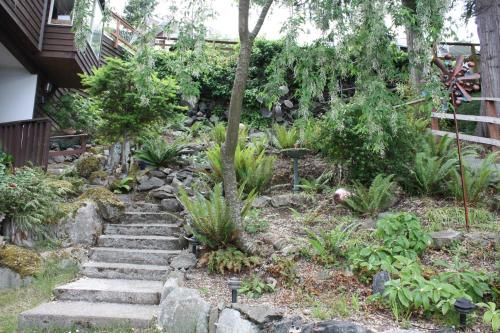 Outdoor Pictures 15