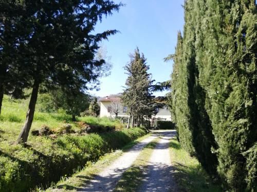 Outdoor Pictures 23