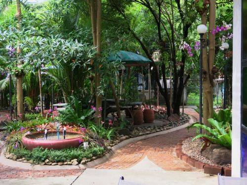 Outdoor Pictures 10
