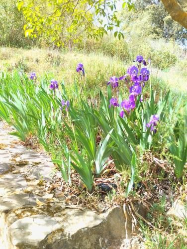 Outdoor Pictures 20
