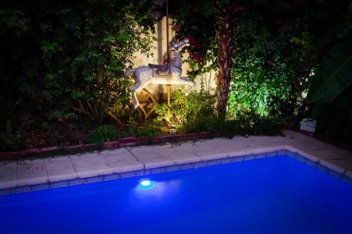 Outdoor Pictures 12