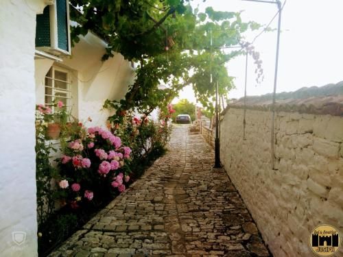 Outdoor Pictures 5