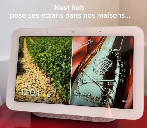 A 2 pas des vignes, hebergements et SPA, à Châteauneuf du Pape, maison numéro 12