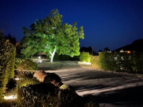 Outdoor Pictures 7