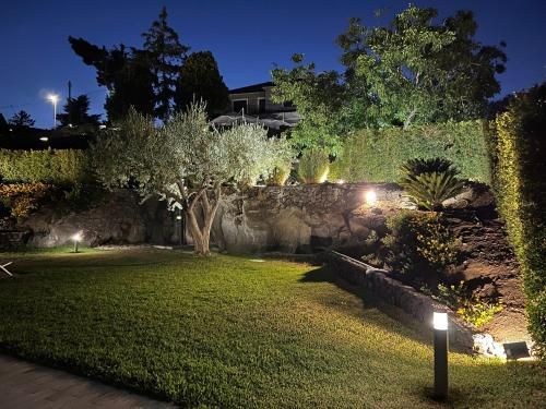 Outdoor Pictures 8