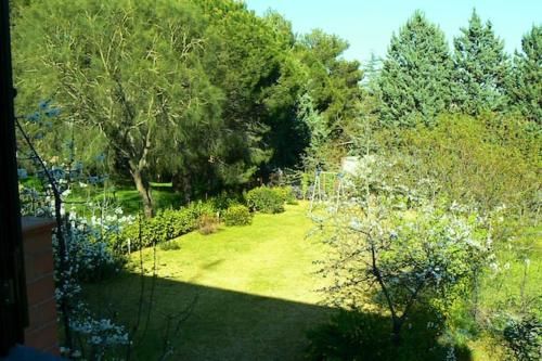 Outdoor Pictures 20