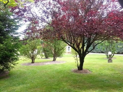 Outdoor Pictures 7