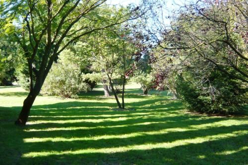 Outdoor Pictures 20
