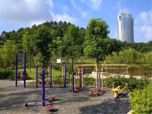 Outdoor Pictures 21