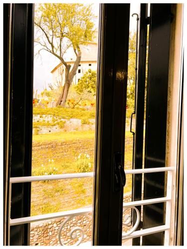 Outdoor Pictures 8
