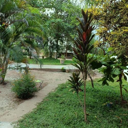 Outdoor Pictures 5