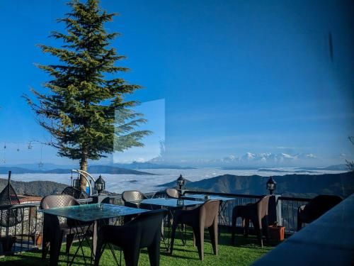 Outdoor Pictures 7