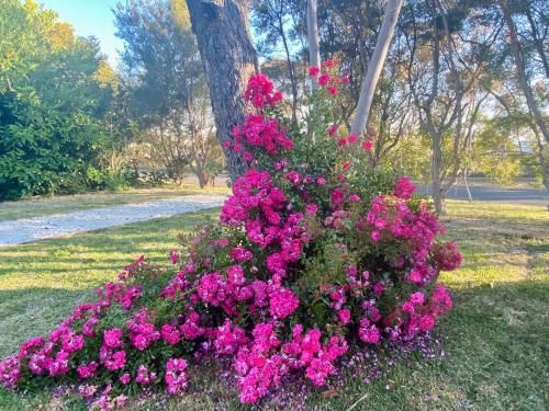 Outdoor Pictures 16