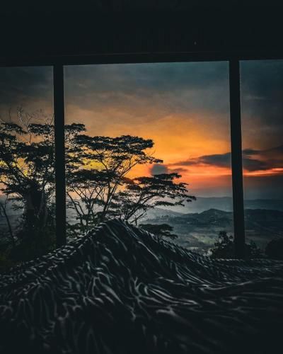 Outdoor Pictures 2