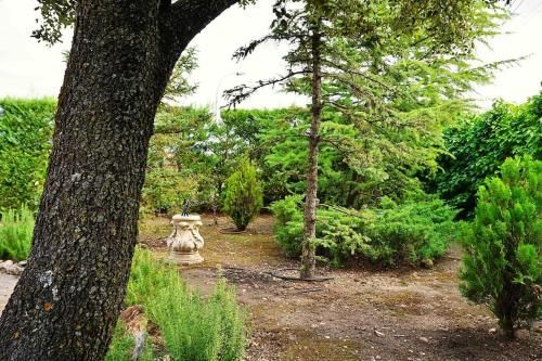 Outdoor Pictures 7