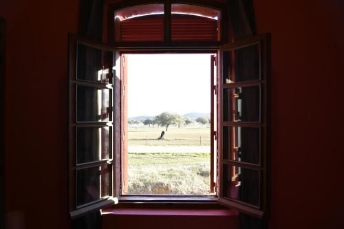 Outdoor Pictures 15