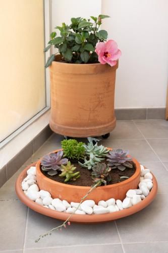 Outdoor Pictures 7