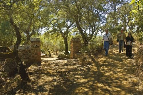Outdoor Pictures 7