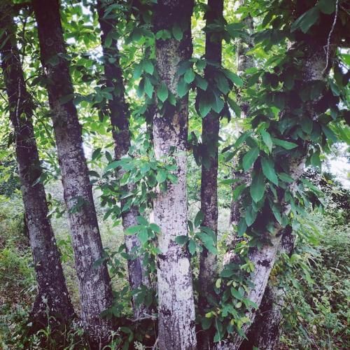 Outdoor Pictures 5