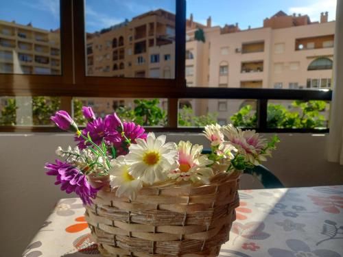 Outdoor Pictures 20