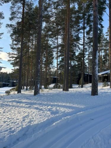 Saimaanranta Resort by Anttolanhovi
