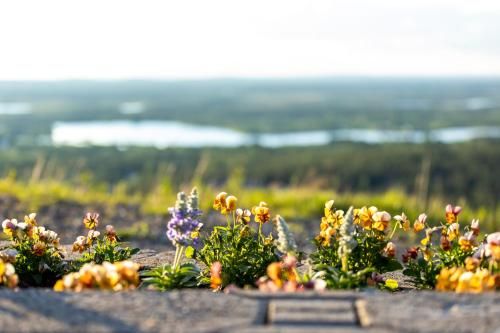 Outdoor Pictures 20