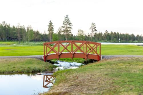 Outdoor Pictures 21