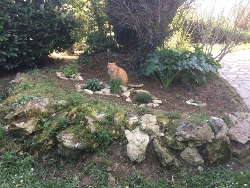 Outdoor Pictures 7