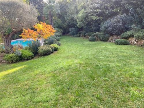 Outdoor Pictures 6