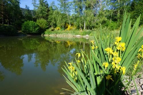 Outdoor Pictures 15