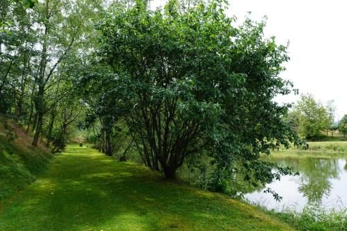 Outdoor Pictures 24
