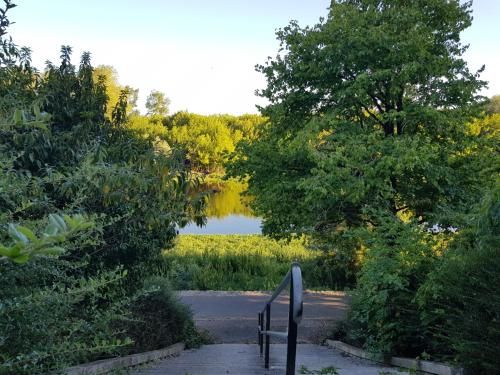 Outdoor Pictures 19