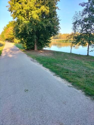 Outdoor Pictures 7