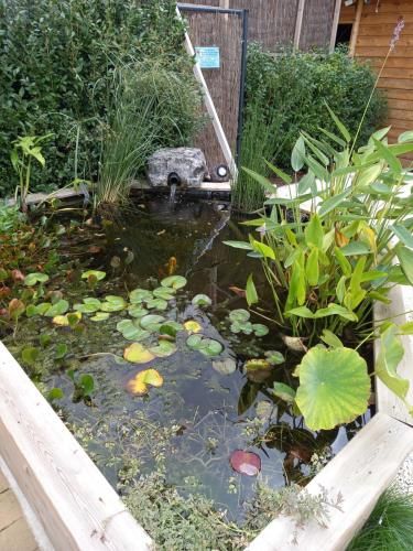 Outdoor Pictures 5