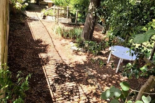 Outdoor Pictures 9