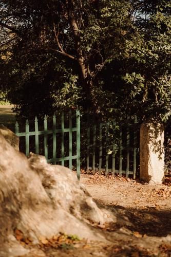 Outdoor Pictures 10