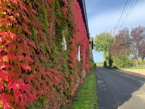 Outdoor Pictures 12