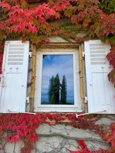 Outdoor Pictures 15