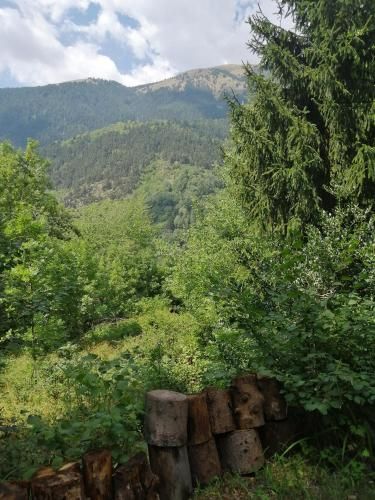 Outdoor Pictures 23