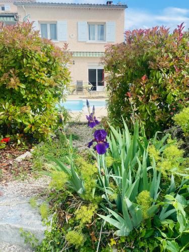 Outdoor Pictures 24