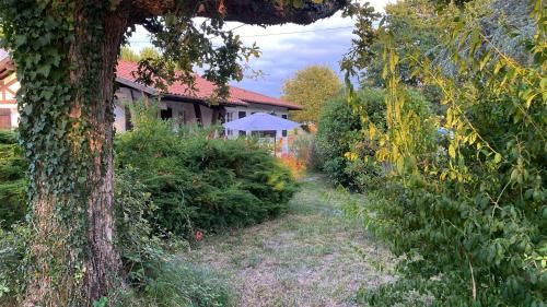 Outdoor Pictures 1