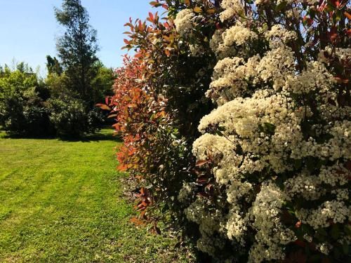 Outdoor Pictures 6