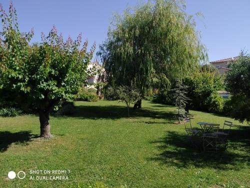 Outdoor Pictures 8