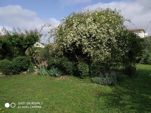 Outdoor Pictures 11