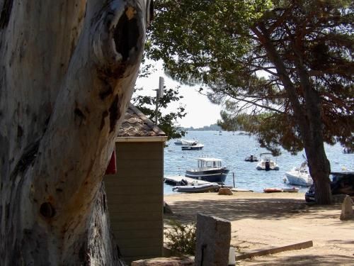 Outdoor Pictures 17