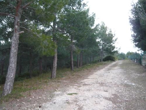 Outdoor Pictures 5
