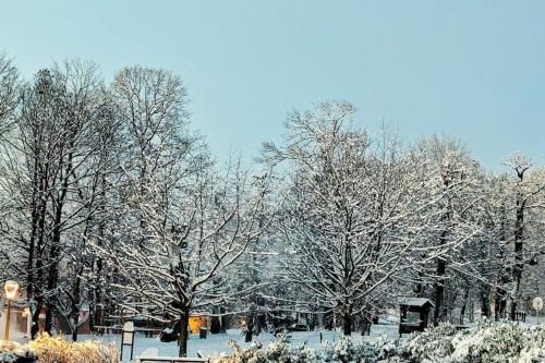 Outdoor Pictures 13