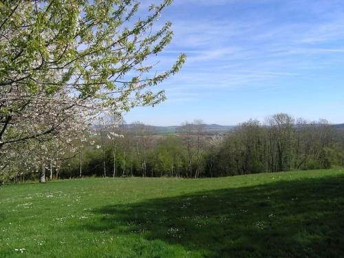 Outdoor Pictures 15