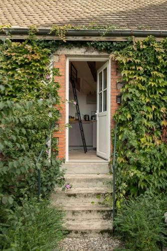 Outdoor Pictures 23